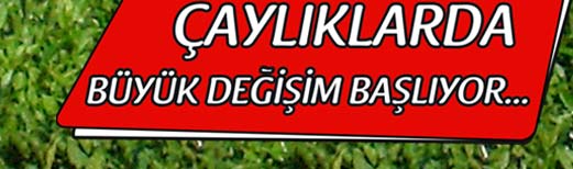 �ayl�klarda B�y�k De�i�im Ba�l�yor...